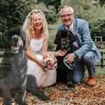 Abigail Parnell - @waggingtonmiss - Instagram