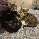 Abigail Quirk - @mortimer_james_ricky_spanish - Instagram