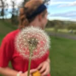 Abigail Reeves - @abigailsphotography - Instagram