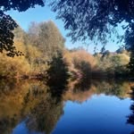Abigail Reeves - @abi2125 - Instagram