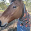 abigail’sridingadventures - @abigailsridingadv - TikTok
