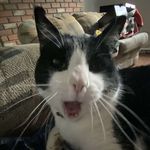 abigail - @abigail_ring6 - Instagram