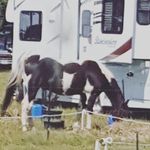 abigail.robbins - @abigqil.robbins - Instagram