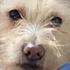 Abigail Robles - @user6472686788586 - TikTok