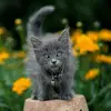 Abigailsee2022 - @abigailsee51 - TikTok