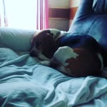 Abigail Elizabeth Seiple - @elizabeth24345 - Instagram