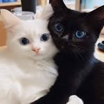 Mirosław Milewski - @severoabigail - Instagram