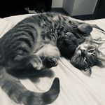 Abigail Rose Sexton - @abigail_sexton2006 - Instagram