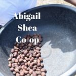 Abigail Shea - @abigailsheacoop - Instagram