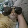 abigailsheets11 - @abigails_8 - TikTok