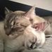 Abigail &amp; Sheldon - Facebook