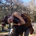 Abigail Shepherd - Facebook