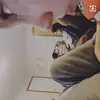 abiloveslukaz🩵 - @abigail.shepherd40 - TikTok