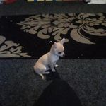 Abigail Shields - @abigail.shields.12 - Instagram