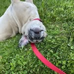 Abigail - @abigail_shoemaker23 - Instagram