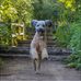 Abby Silverman - Facebook