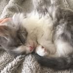 Abigail Singer - @singer_576 - Instagram