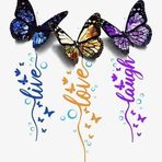 Abigail Singleton - Facebook
