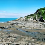 Abigail Snook - @snookabigail - Instagram