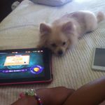 Abigail Corina Soler - @abbysoler1 - Instagram