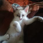 Abigail Soliz Vargas - Facebook