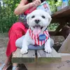 Abigail Spanberger - @abigailspanberger3737 - TikTok