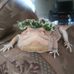 Abbigail Spears - Facebook