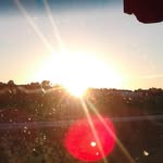Stampersuraus' Camera - @abigailastamper - Instagram