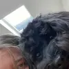 abigail_steen - @abigail_steen - TikTok
