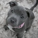 Abigail Steenekamp - @steenekamp.abigail - Instagram