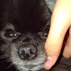 abigailsteigerwal - @abigail.steigerwa - TikTok