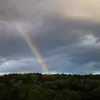 abby! - @still.abigail - TikTok