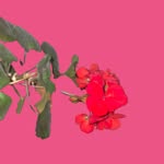 Abigail Richardson  l  Art Director & Prop Stylist - @abigailstylesthings - Instagram