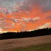 Abigail sumner - @abigail.sumner - TikTok
