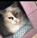 Gail Sumner - Facebook