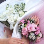 Abigail Sutherland - @abigailsutherland315 - Instagram
