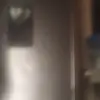 p1u4bs - @abigailtello00 - TikTok