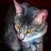 Abby Thayer - Facebook
