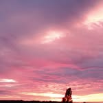 @abigailthomson675fa1 - Instagram