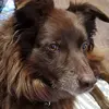 Abigail Thornton - @abigail.thornton7 - TikTok