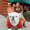 Abigail Thornton - @abby.thornton12 - TikTok