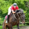 Abigail Moira Thrush - @thehorsehandle - TikTok