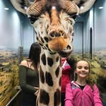 Abigail Toms - @abigail.toms.7 - Instagram
