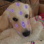 Abigail Toth - @abbykadabby49 - Instagram