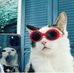 Abbie Townsend - Facebook