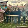 Abigail Trainor - @abigail.trainor2 - TikTok