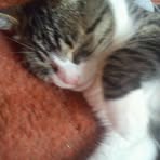 Abigail Trainor - Facebook
