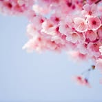 Abigail Tseng - Facebook