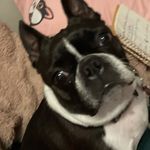 Abigail Rae Ullman - @abigail_ullman - Instagram