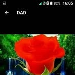 Abigail Waddle - Facebook
